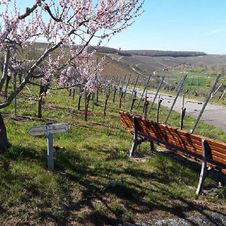 Ferienwohnung - Zimmervermietung Ringelmann Dettelbach Exteriör bild